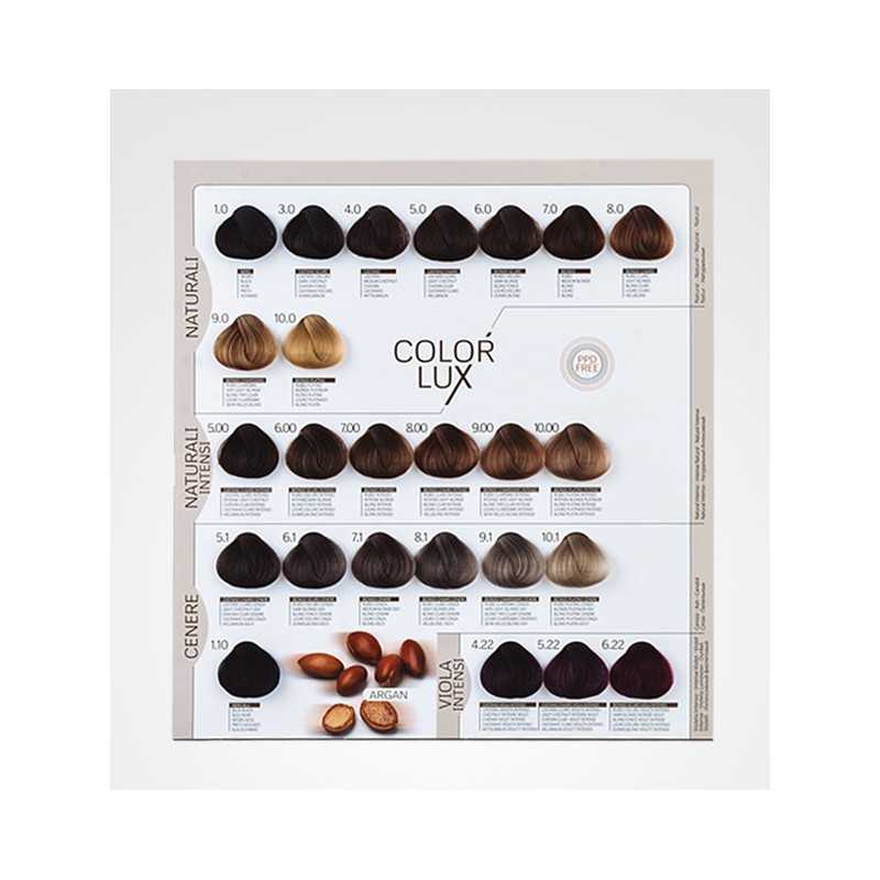DESIGN LOOK CARTA DE COLOR