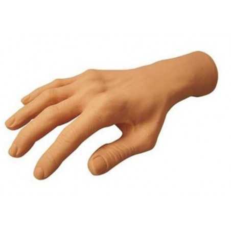MANO DE PRÁCTICAS THUYA