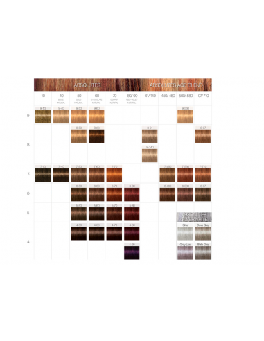 TINTE IGORA ROYAL ABSOLUTE 60ML SCHWARZKOPF carta