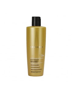 CHAMPÚ NUTRI CARE ARTISTIC HAIR