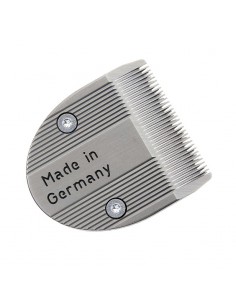 CABEZAL CHROMINI MOSER