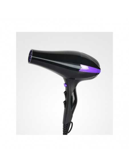 SECADOR IÓNICO PROFESIONAL IONIC R-3900 PERFECT BEAUTY