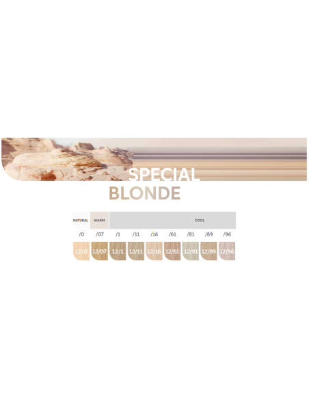 KOLESTON PERFECT +ME TINTE 60ML WELLA