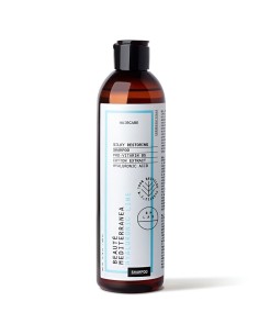 CHAMPU SILKY RESTORING HYALURONIC 300ML BEAUTE MEDITERRANEA