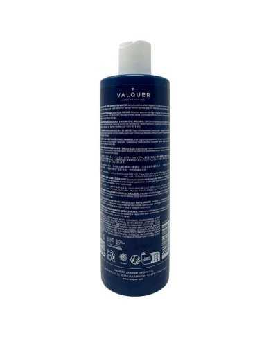 CHAMPU POTENCIADOR DE COLOR Y BRILLO ZERO 400ML VALQUER
