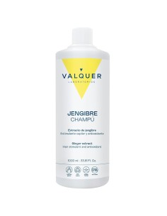 CHAMPU GINGER STRONG 1000ML VALQUER